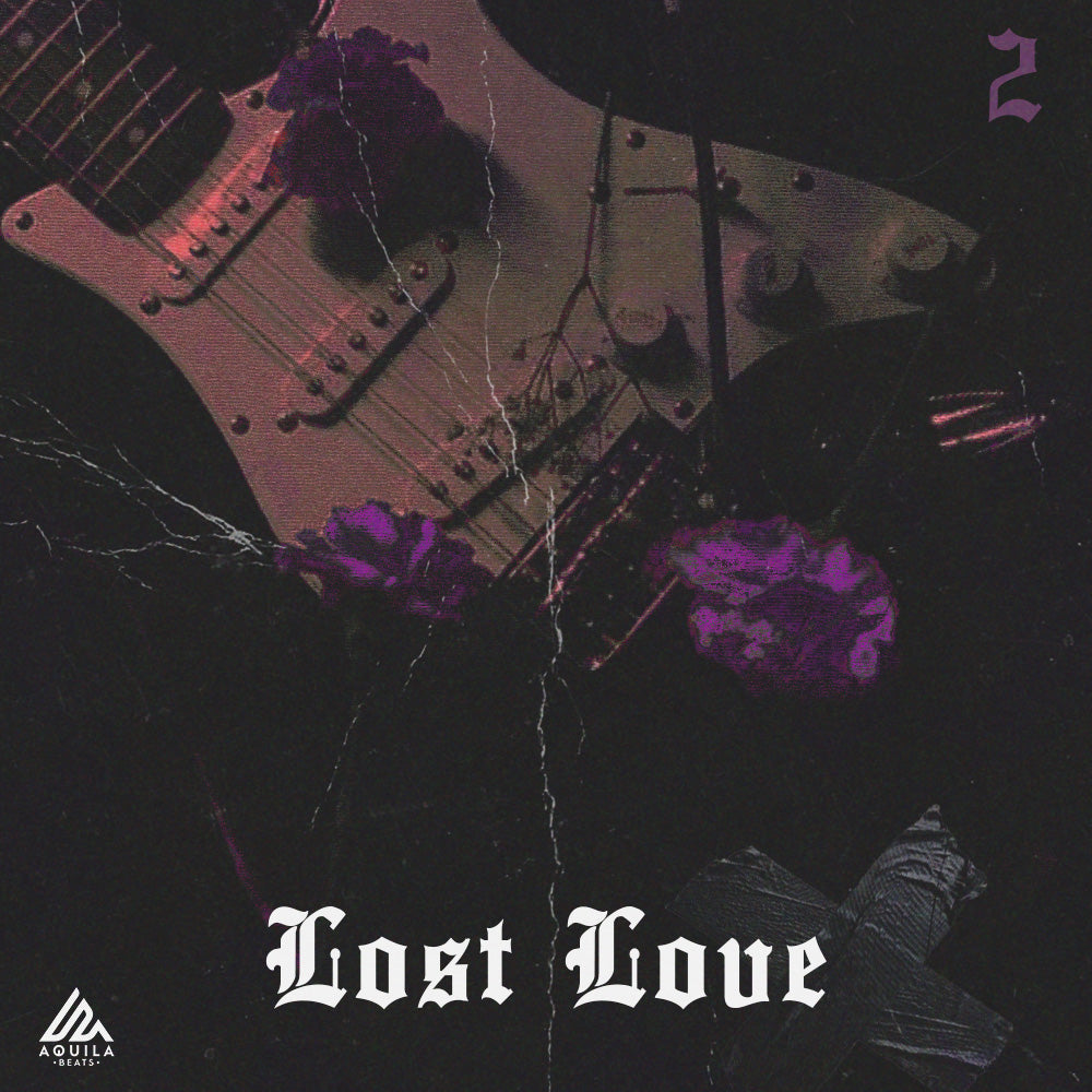 Lost Love 2 - Guitar Construction Kits