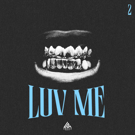Luv Me Vol. II - R&B Construction Kits